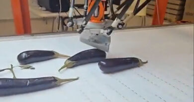 Shpiket makineria që shkurton patllixhanët por për çudi u ble nganjë klinikë që bën meshkuj synet