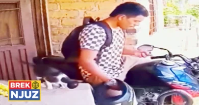 Djali kishte zbokth te flokët, macja i hodhi brenda kaskës, një vezë të freskët për trajtim